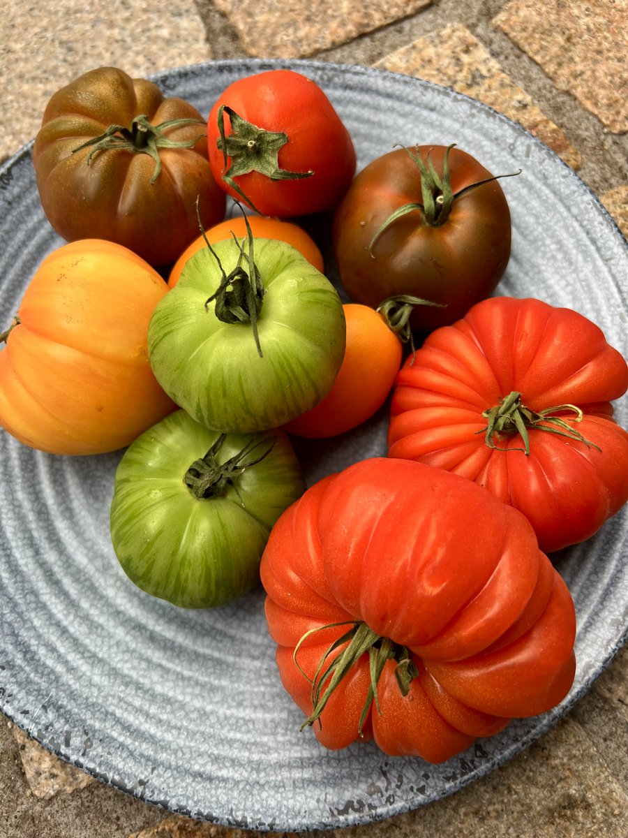 When the #local #produce is this amazing....you know the dish is gonna taste FAB! 

Heritage tomatoes from Strawberry Catering 👌🏼