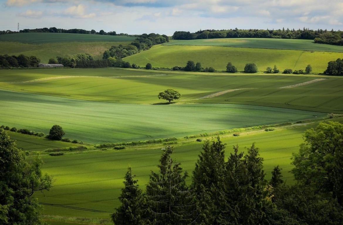 Gorgeous green is back in Hampshire’s stunning countryside – have a wonderful weekend everyone!

📸 Matt Pinner