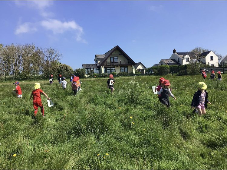 ypd_aidancampus's tweet photo. We spent the morning by having some fun with all our dazzling daisies! We thoroughly enjoyed using our maths skills 👣 📏 to carry out our own daisy investigation 🌸 and taking the time and opportunity to explore our own mini meadow. 🔍 @Penrhyndewi 
@EcoDewiGroup #teamypdva 🖤💛 https://t.co/wGWYw6LE70