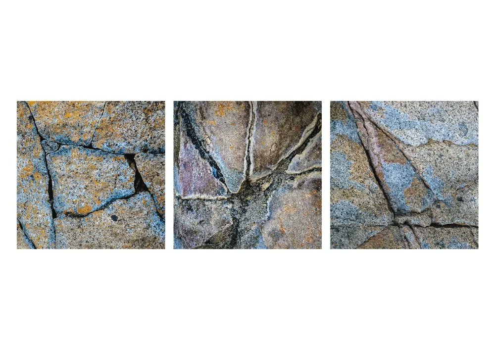 A triptych from my Ardnamurchan workshop with @RKphotographic 

#photographyeveryday #photography #amateurphotography #NaturePhotography #ThePhotoHour #FotoRshot #landscapephotography