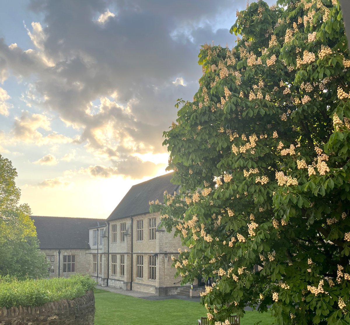 'Yet still the unresting castles thresh 
In full grown thickness every May'                                                        
                         (Larkin)  

A horse chestnut lit up with candles at sunset. 
(🕯️is a lovely traditional name for their flowers.)
#Oxford