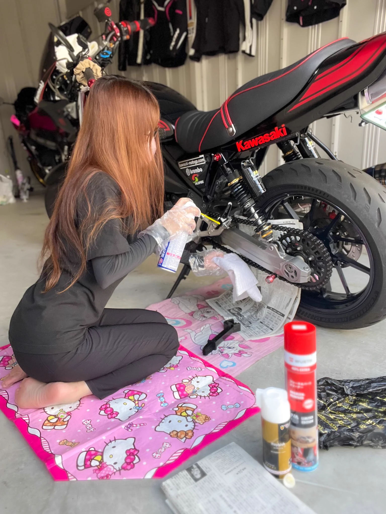 X-এ 𝐒ちゃん🌸猫Photo Rider: 