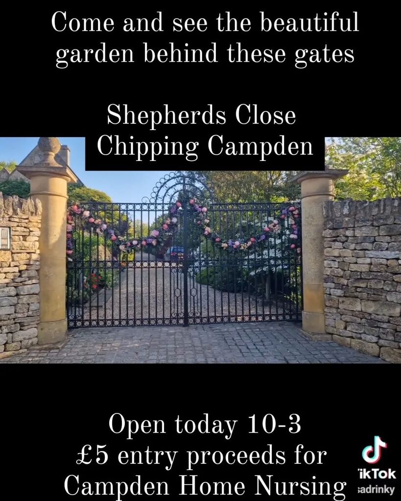 LisaDrinkwaterFlowers tweet media