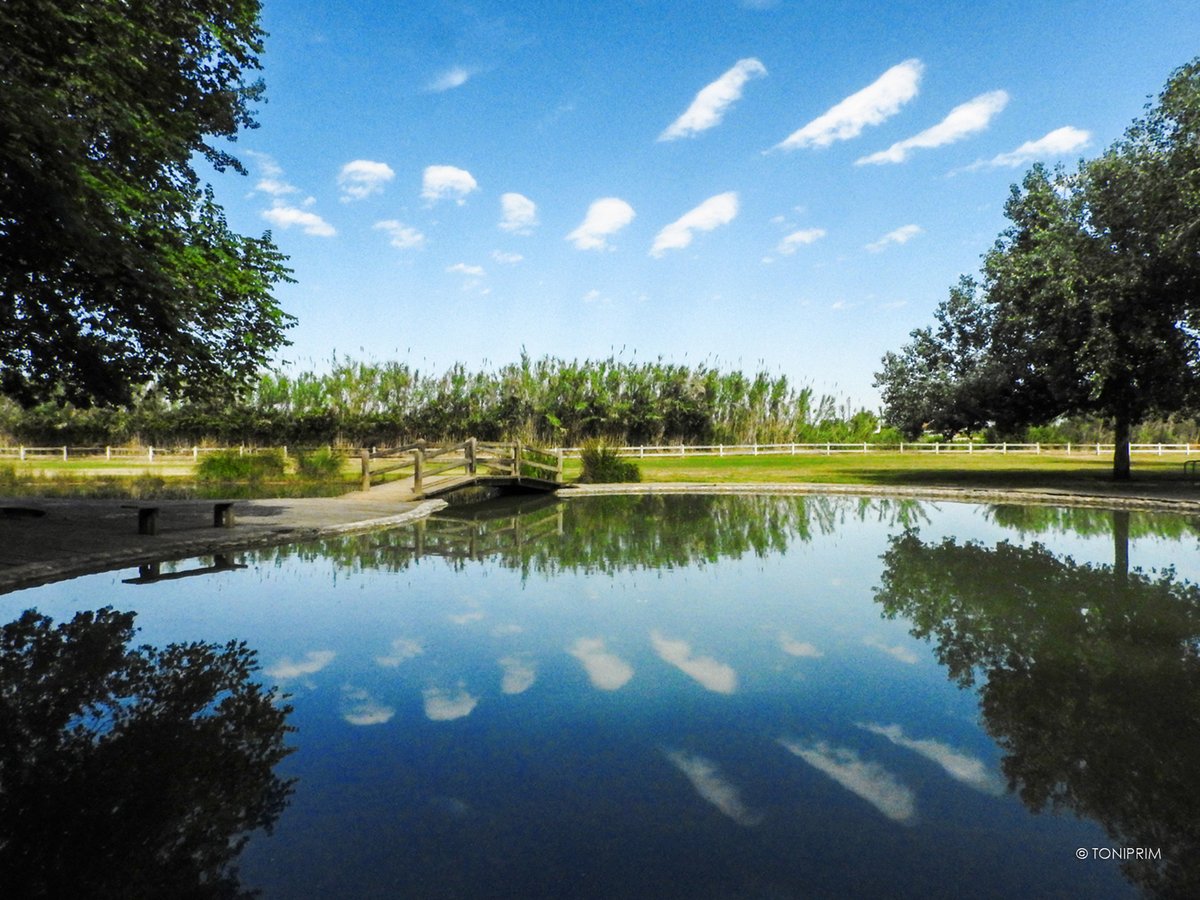 De vegades cal parar per poder continuar, i el Parc de la Mitjana és un bon lloc per fer-ho. Tenir un parc natural dins de la teva ciutat no té preu! 🌿🌾🌞🥰

#Lleida #inLOVEwithCatalonia

📸 @TONIPRIMfoto