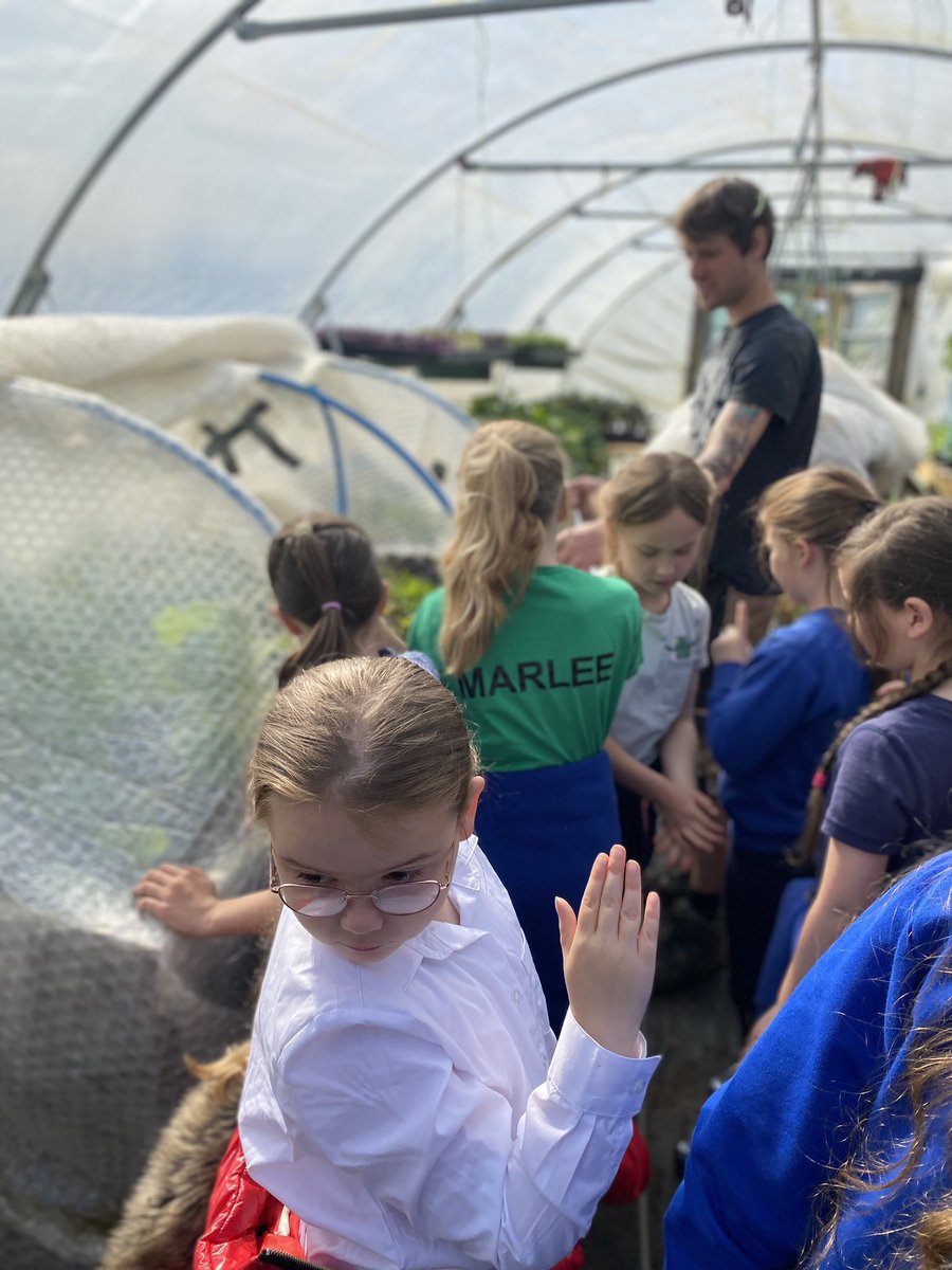 Helping out on the farm!