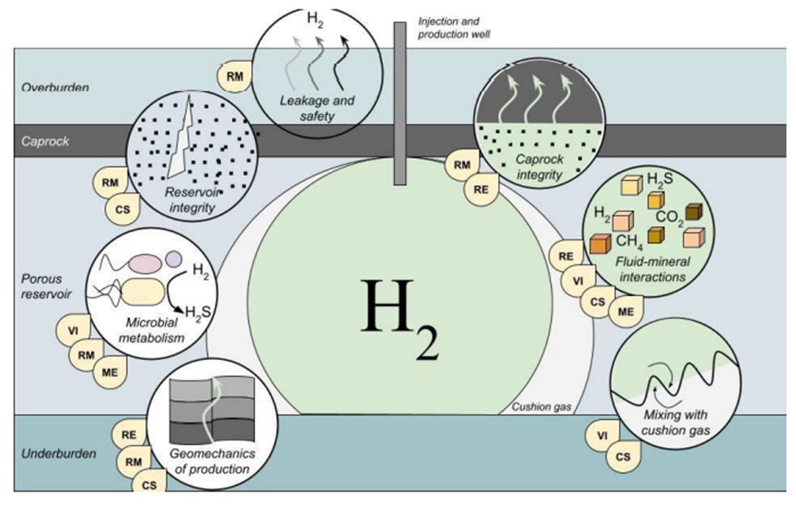 Are you interested in #microbiology? Do you want to make a difference in the #EnergyTransition and to fight #ClimateCrisis? We have 10 #PhDposition on Underground #hydrogen Storage in our new <a href="/MSCActions/">Marie Skłodowska-Curie Actions</a> project <a href="/Shine_Edn/">shine_edn</a>. 𝗗𝗲𝗮𝗱𝗹𝗶𝗻𝗲 𝗝𝘂𝗻𝗲 𝟮𝟲!
shine-edn.eu