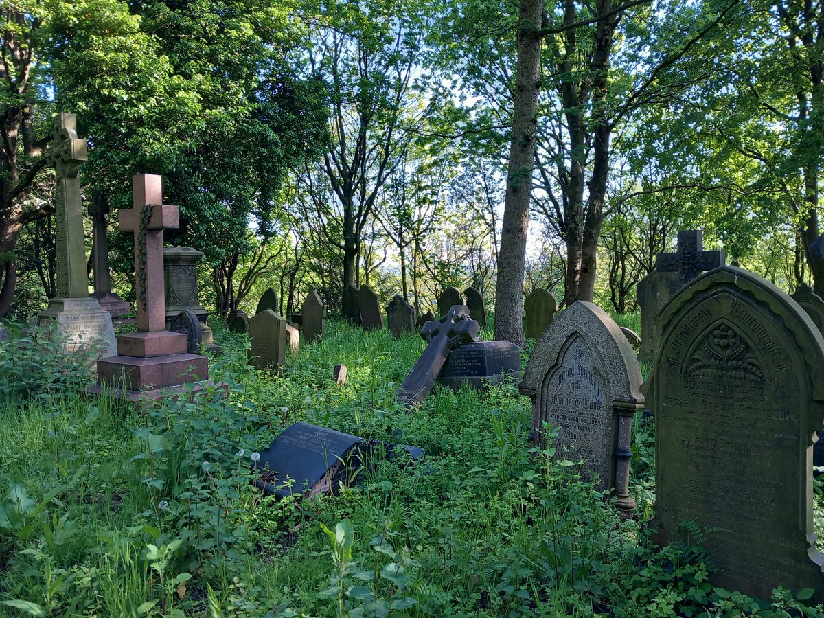 WillowGroveCem's tweet photo. A glorious morning at #WillowGrove https://t.co/lirsyq7Pj0