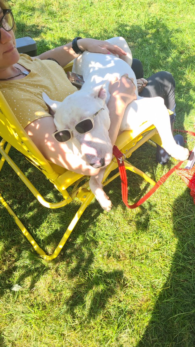 mixcloud.com/live/russell-m… 
This weeks Northern Girl: Midlands Boy show is going to be a bit different.
The elves who make circl8radio.com are moving house this weekend, 
We have our new soap opera 'The Tun Uppers'
I've done duets with The Police and U2