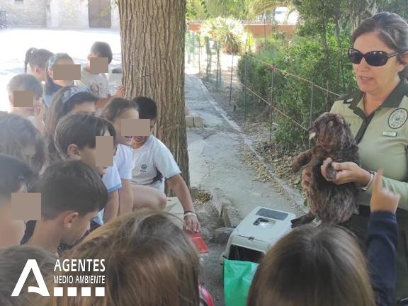 AAMM_And's tweet photo. Esta semana nos hemos acercado a los más pequeños para explicarles cuáles son las funciones de los Agentes de Medio Ambiente, y qué pueden hacer ellos por conservar el medio ambiente.

Actividades en Colegio «EE.PP. Sagrada Familia - Ntra. Sra. del Rosario» #Atarfe #Granada. https://t.co/scIkd4JgOp