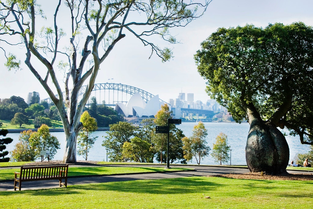A reminder: our FREE GUIDED WALK is TOMORROW at 10.30am, at Sydney Botanic Gardens to celebrate Botanical Gardens Day.

Meet us by the Botanical Gardens Information Booth off Art Gallery Rd. See you there.
#sydneythingstodo #thingstodosydney #sydney