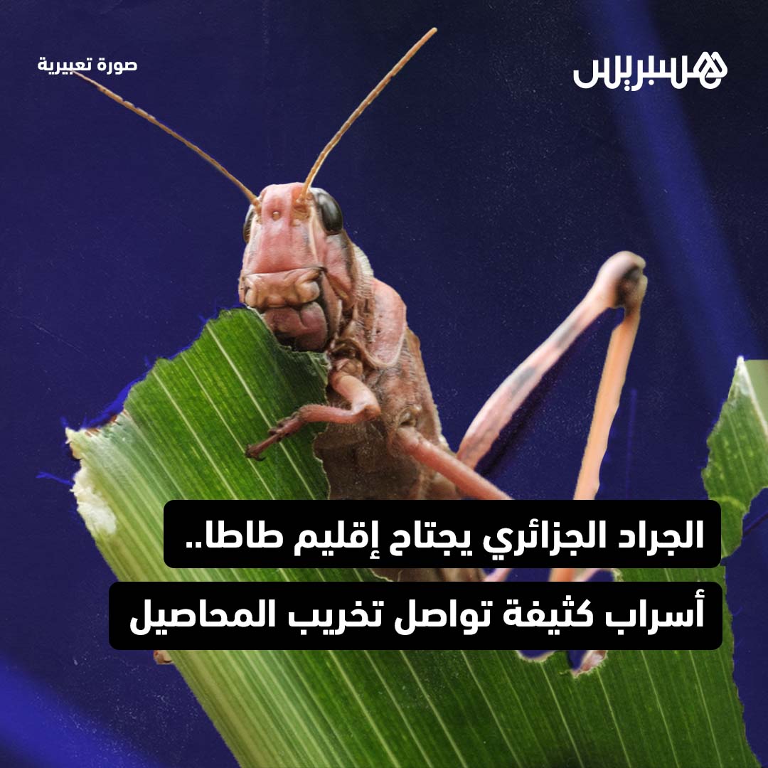 Hespress هسبريس tweet media