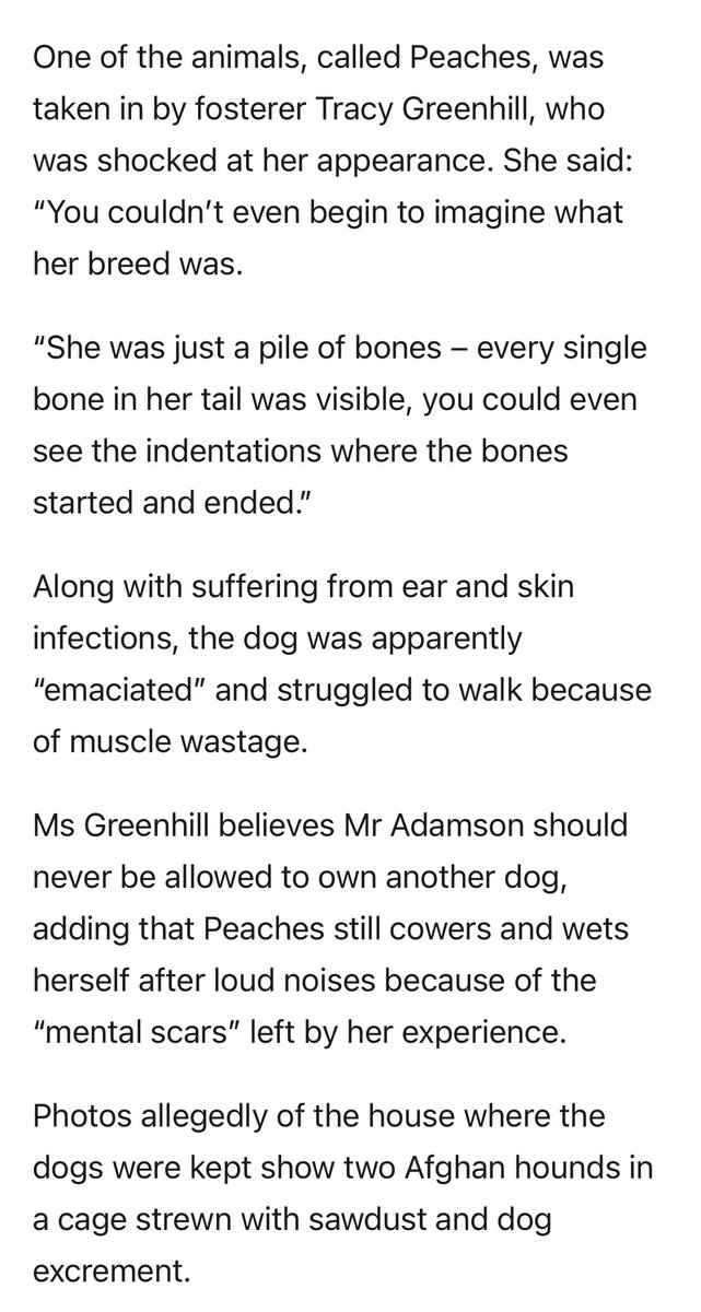 Jamiepenrith2's tweet photo. Abusing animals for a decade … Yet the Kennel Club will have him back in their circus ring in 10 years …. This organisation tells your government how you should treat your dogs according the their standards.

The Kennel Club needs shutting down🤬🤬🤬 https://t.co/TqdkbnFxtI