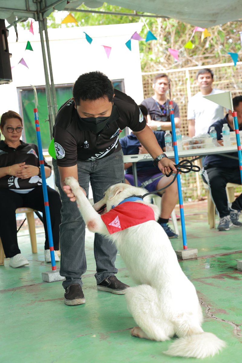 Quezon City Government on Twitter "Bukod pa sa free dog basic