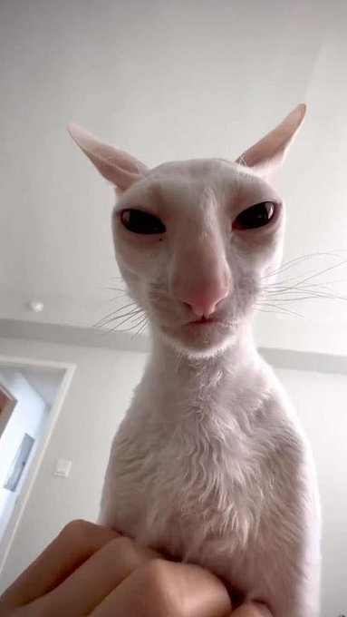 He was forced to fight illithids (he will be added to the hivemind)