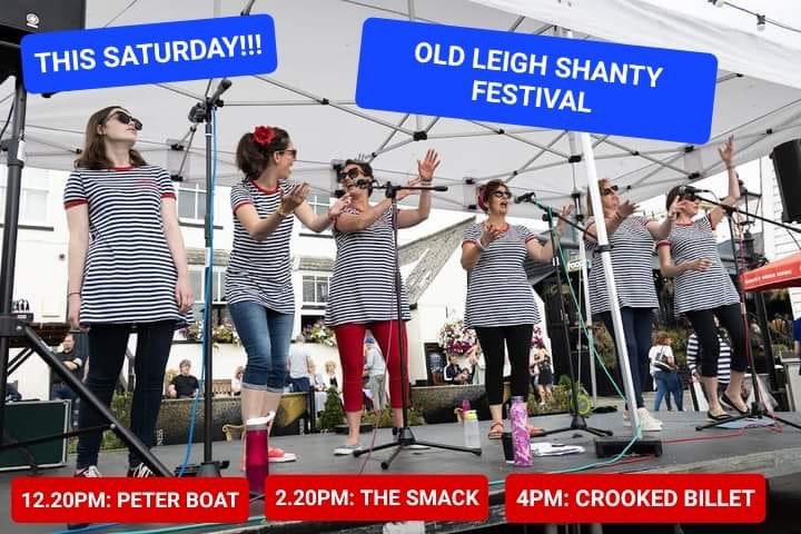 The Silver Darlings tweet media