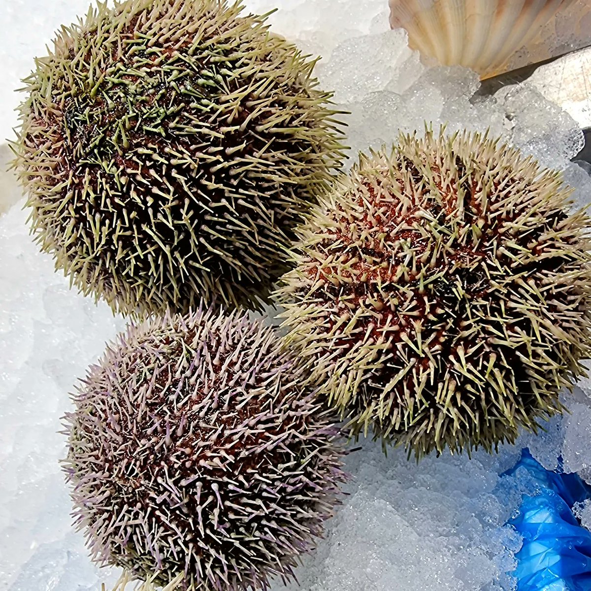 Ramsdens tweet media