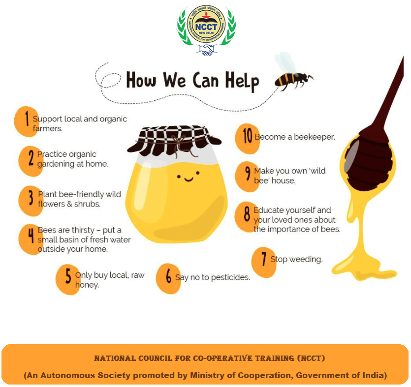 10 ways you can help save the bees...
#organicgardening #honey #bees #organicfarming #pesticides #NCCT #सहकारसेसमृद्धि #WorldBeeDay #SahkarSeSamriddhi #सहकारिता_मंत्रालय #WorldBeeDay2023