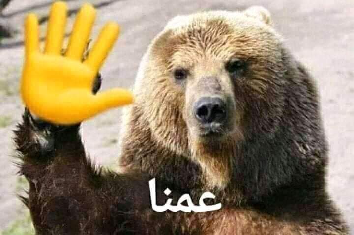 Eslam94RF's tweet photo. @marawangamal95 https://t.co/u840Dqwebo
