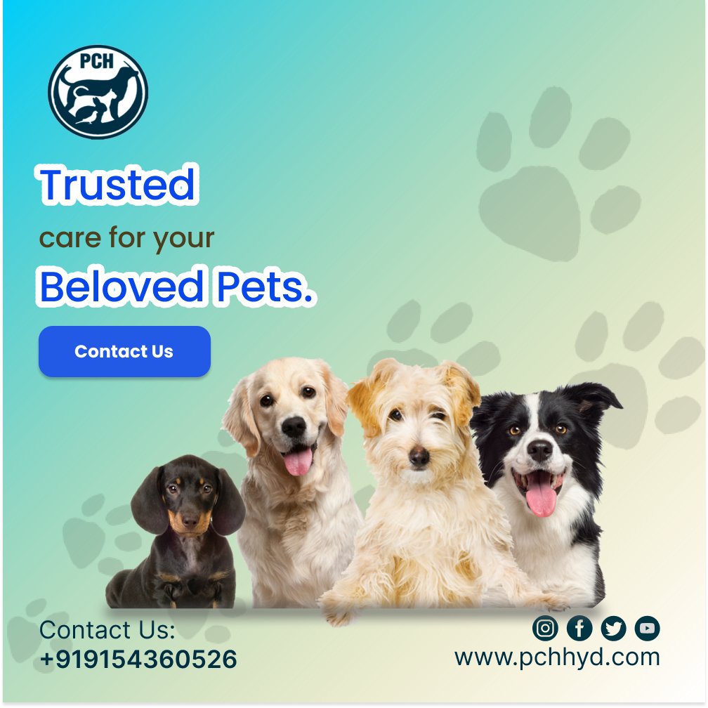 At pets care super specialty hospital, we treat your pets like cherished family members. Our experienced professionals are dedicated to their health, happiness, and well-being, offering a comprehensive range of tailored services. 
#TrustedPetCare #BelovedPets #ExceptionalCare