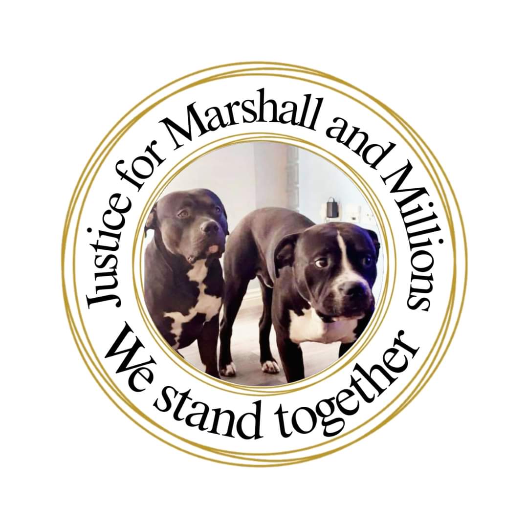 KayePunsalan1's tweet photo. #JusticeForMarshallandMillions https://t.co/foZ8J1jeL3