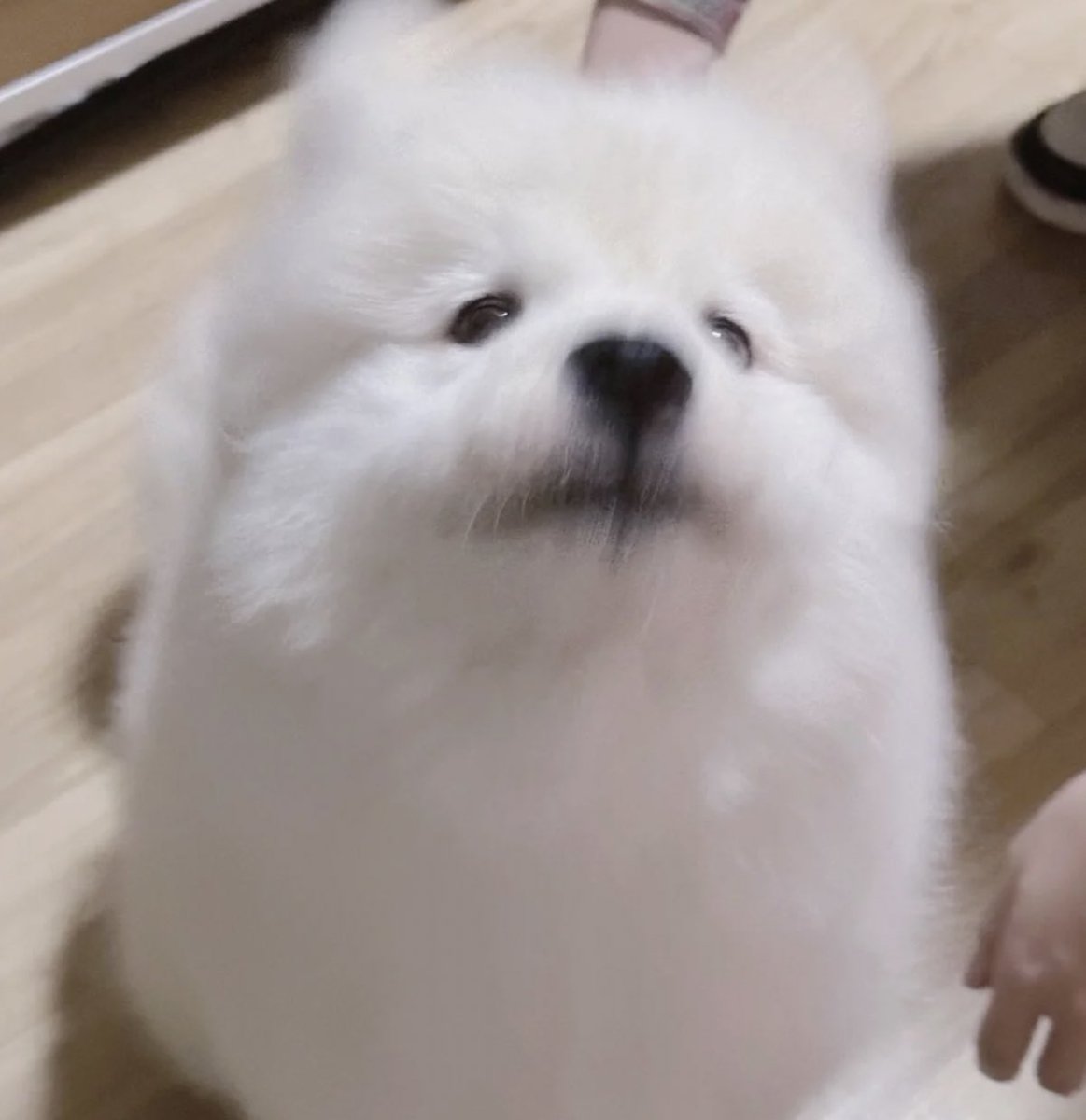 ไหนจุ้บก่อนนอน