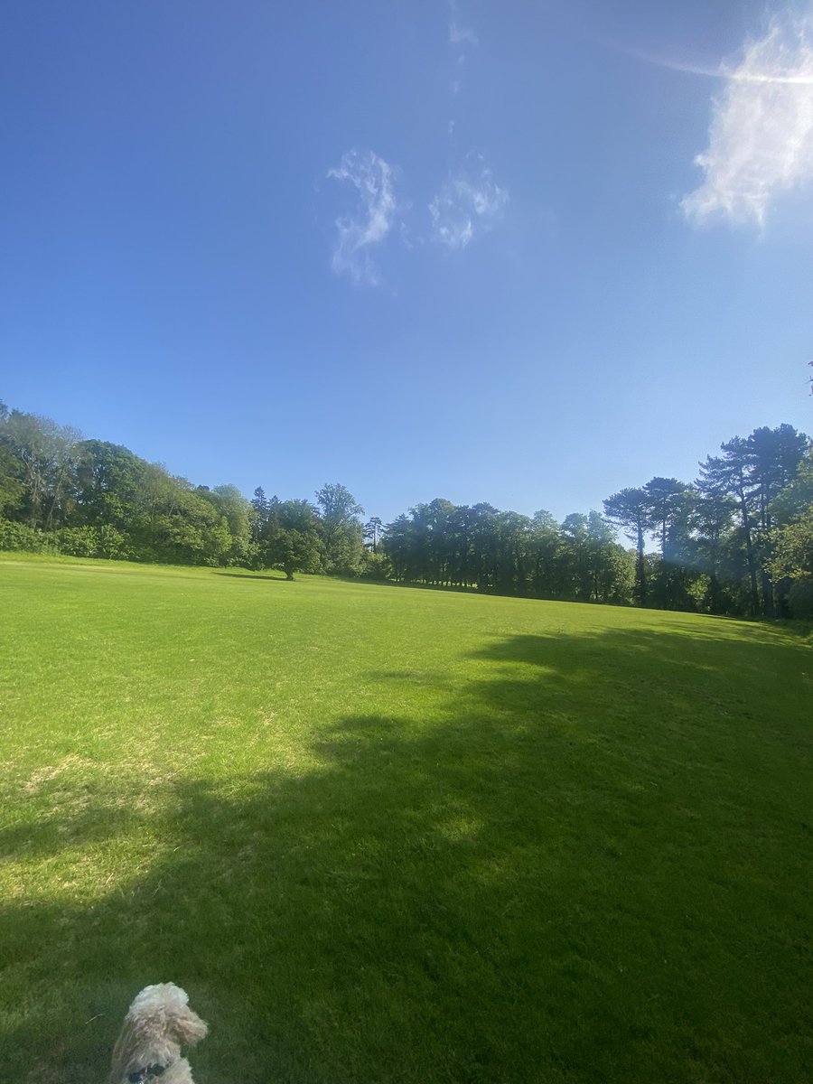 Kidnot's tweet image. In the sacred stillness, you'll come to see,
The boundless power that dwells within thee.
Take this time, reclaim your sacred art,
And let your spirit soar, anew, restart.

#momentsofpeace
#R&amp;amp;R
#serenitywithin
#innerpeace
#rechargeyourspirit