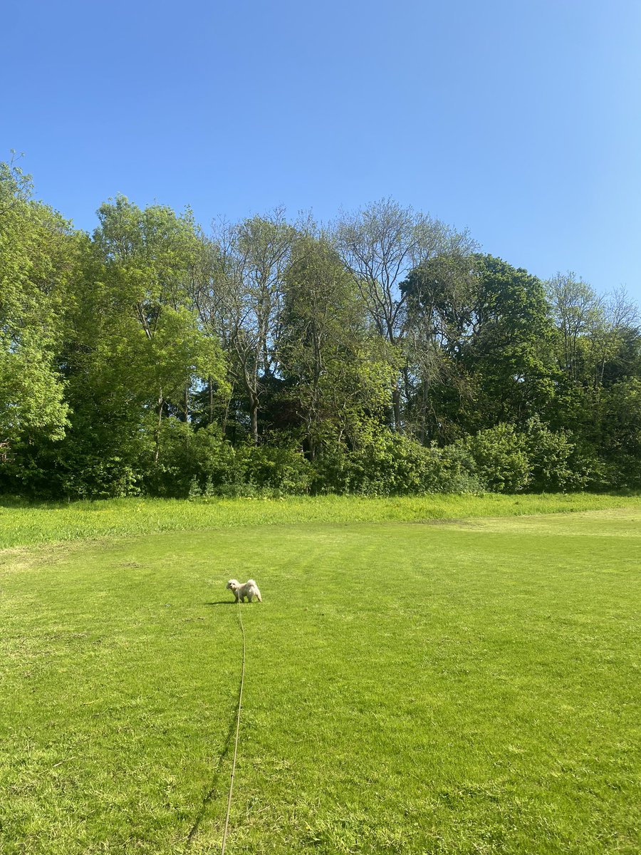 Kidnot's tweet image. In the sacred stillness, you'll come to see,
The boundless power that dwells within thee.
Take this time, reclaim your sacred art,
And let your spirit soar, anew, restart.

#momentsofpeace
#R&amp;amp;R
#serenitywithin
#innerpeace
#rechargeyourspirit