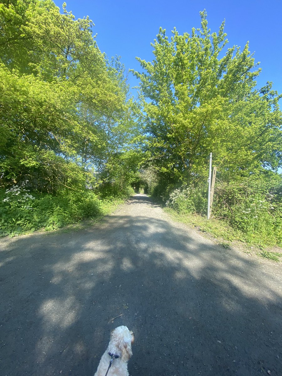 Kidnot's tweet image. In the sacred stillness, you'll come to see,
The boundless power that dwells within thee.
Take this time, reclaim your sacred art,
And let your spirit soar, anew, restart.

#momentsofpeace
#R&amp;amp;R
#serenitywithin
#innerpeace
#rechargeyourspirit