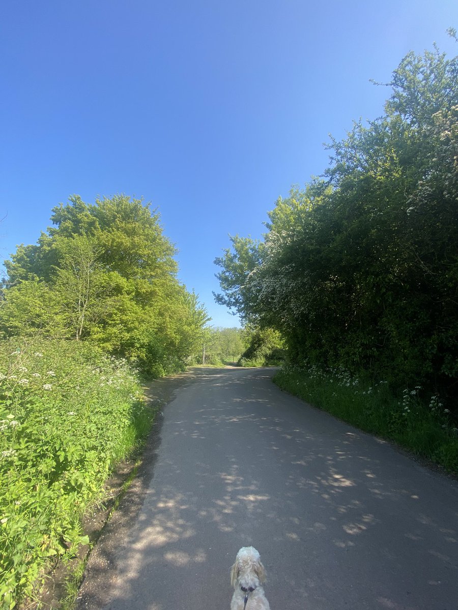 Kidnot's tweet image. In the sacred stillness, you'll come to see,
The boundless power that dwells within thee.
Take this time, reclaim your sacred art,
And let your spirit soar, anew, restart.

#momentsofpeace
#R&amp;amp;R
#serenitywithin
#innerpeace
#rechargeyourspirit