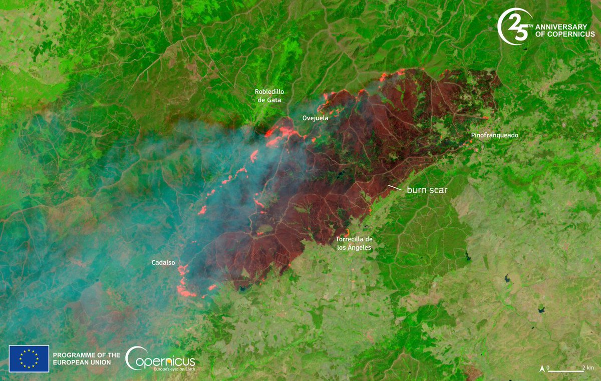 davidgoelometeo's tweet photo. Una imagen que parte el alma #IncendioForestal #Hurdes https://t.co/0Dt5M7nl3v