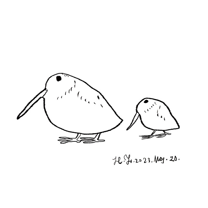 今日の一枚No.139(No.4189)23/05/20 「自然治癒力」