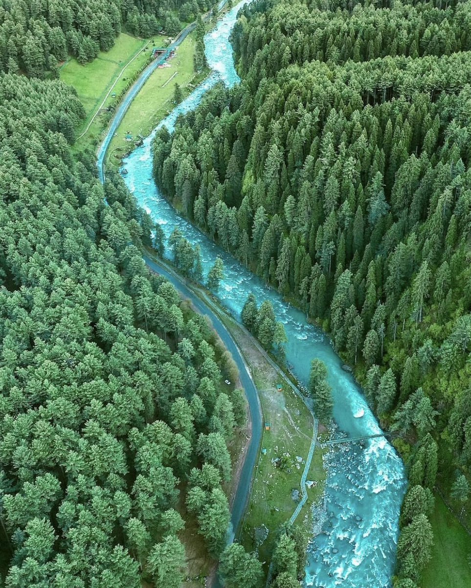 Mussarat Zia tweet media