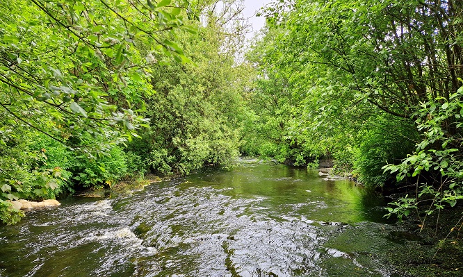 RuairiOConchuir's tweet photo. Lovely to be out with the volunteer members of Inagh village Tidy Towns this morning (20 May)

Great discussion on the Inagh River, riparian management, #raingardens, #waterharvesting #invasivespecies &amp; enhancing local #biodiversity 

 @GreenerClare @CommunityFound @TidyTownsIre https://t.co/MFcxx7daYn
