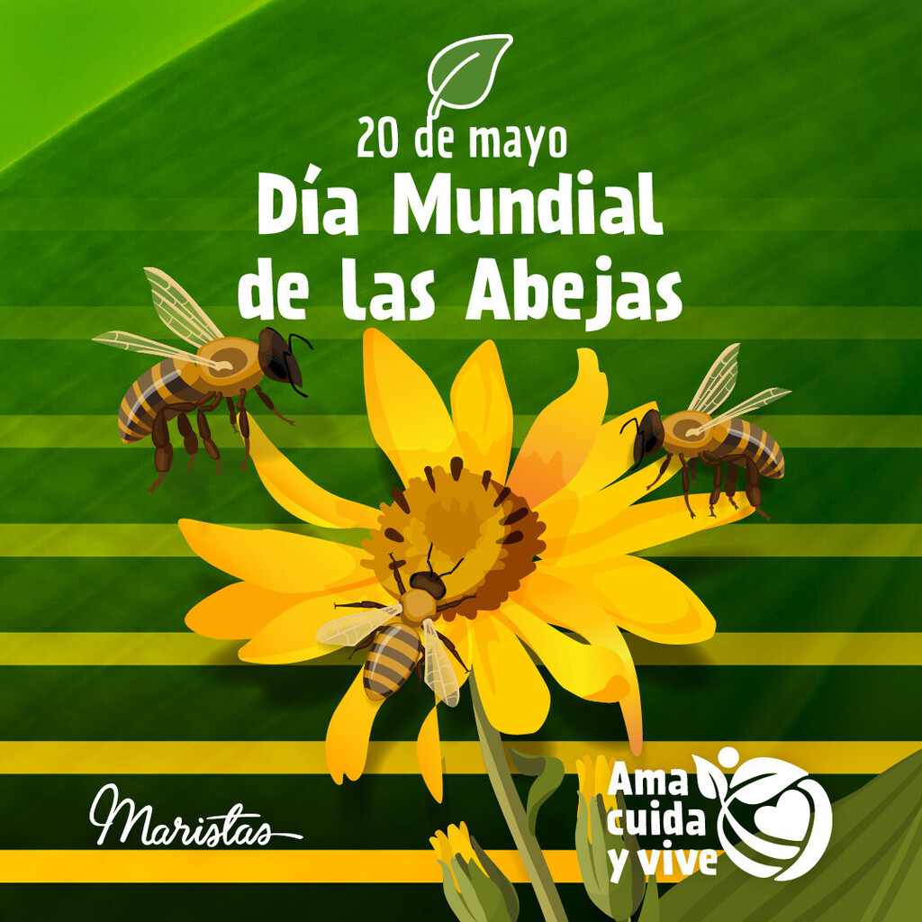 🐝El 20 de mayo se celebra el Día Mundial de las Abejas para crear conciencia sobre la importancia de los polinizadores, las amenazas a las que se enfrentan y el beneficio para toda la Tierra.

🍊Las abejas son los animales más laboriosos de la tierra … instagr.am/p/Csd3mpIvMG2/