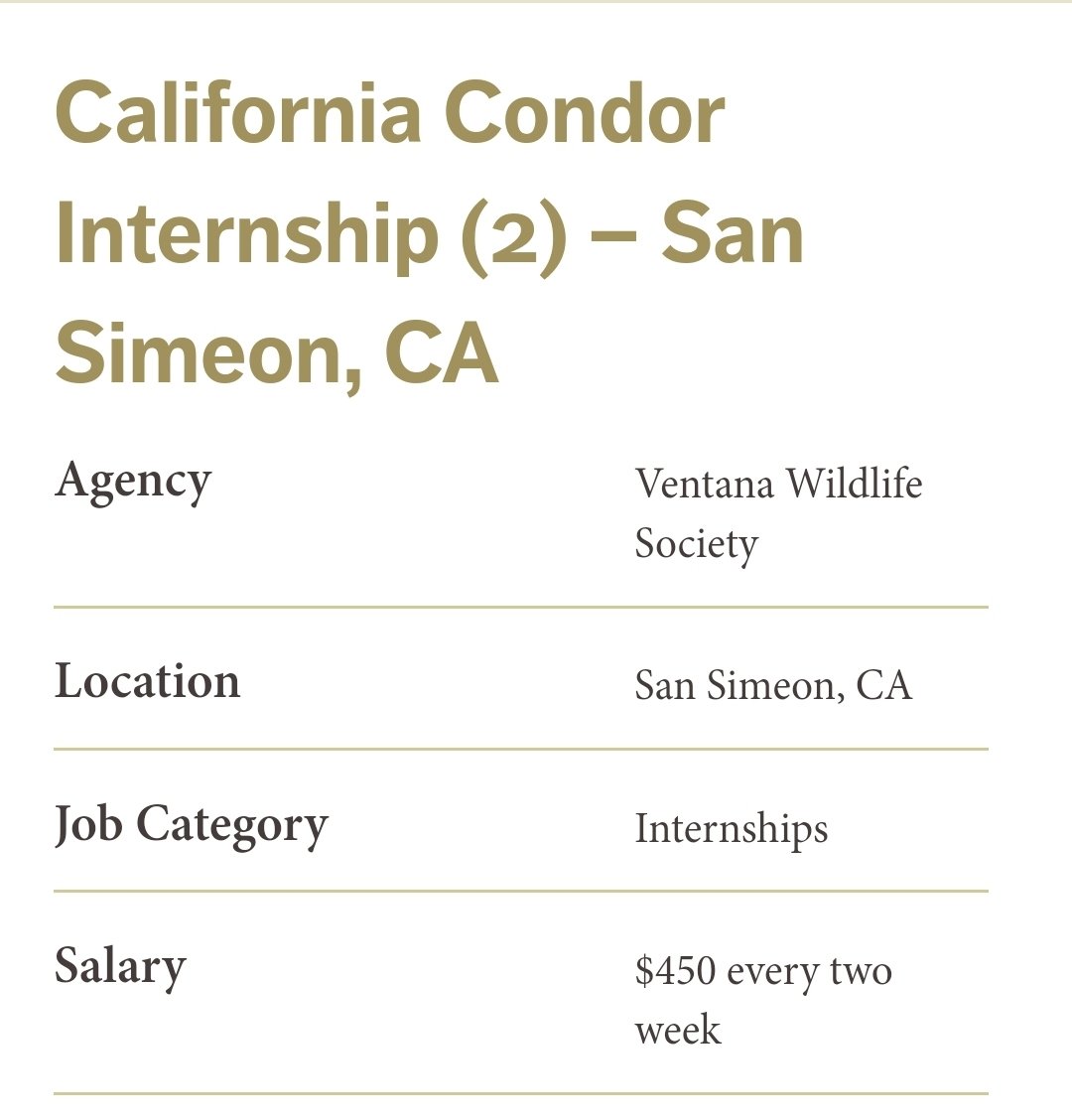 Pay_Your_Techs's tweet photo. That's only $5.62/hr...in California. Nowhere near enough to live on. DON'T APPLY. #PayYourInterns https://t.co/CzUTvpbSwf