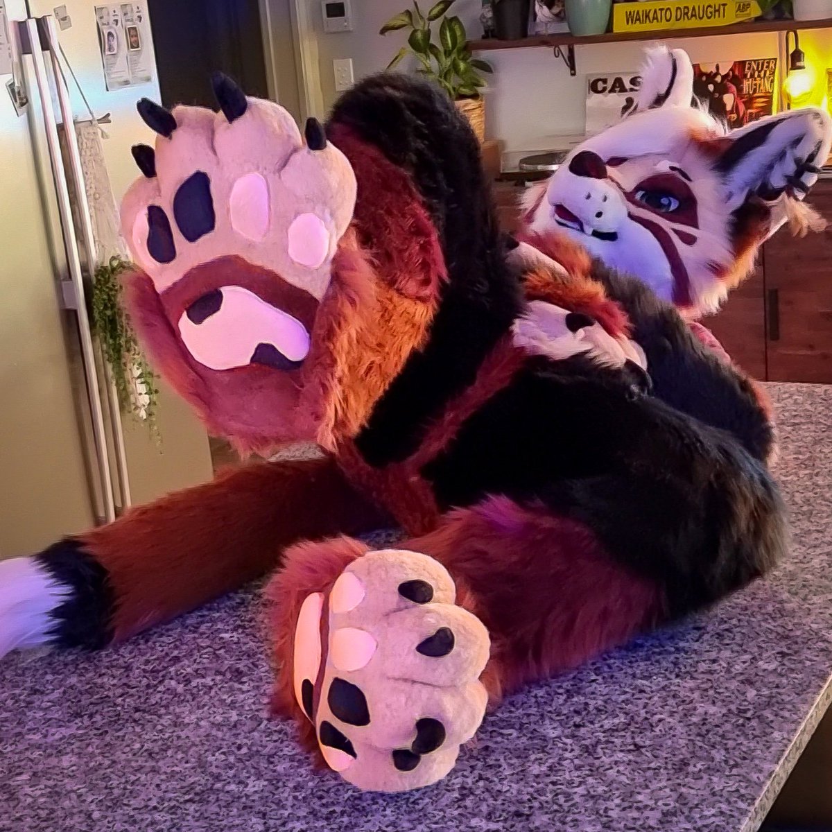 Apparently it's #PawDay? Am I doin' this right?