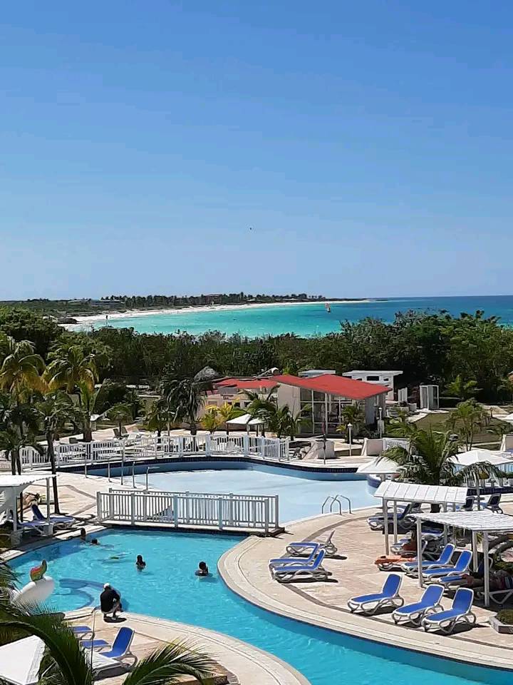 cayococo_travel's tweet photo. Qué prefieres playa o piscina?🏖🤽♀️ Te esperamos en #JardinesdeRey
Más información en https://t.co/c5EKNVzq45
📸 #solcayococo
#CubaUnica #CayoCoco #CayoGuillermo #CayoParedon #Cuba https://t.co/Q1vew2QW7S