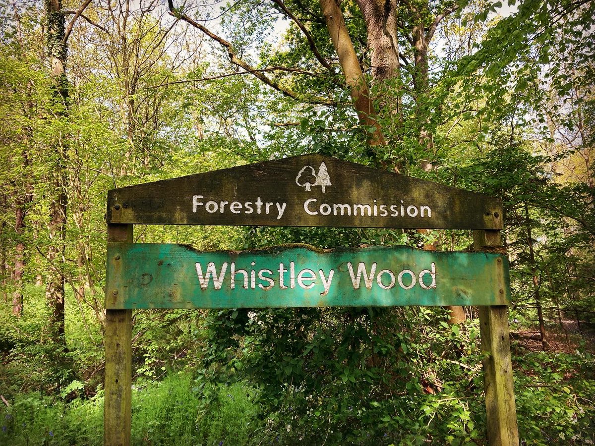 #Banbury Woodies like getting out in nature. We’ve enjoyed our annual bluebell walk. A new woodland over in Northamptonshire, but the same load of outdoor fun &amp; woodland games.