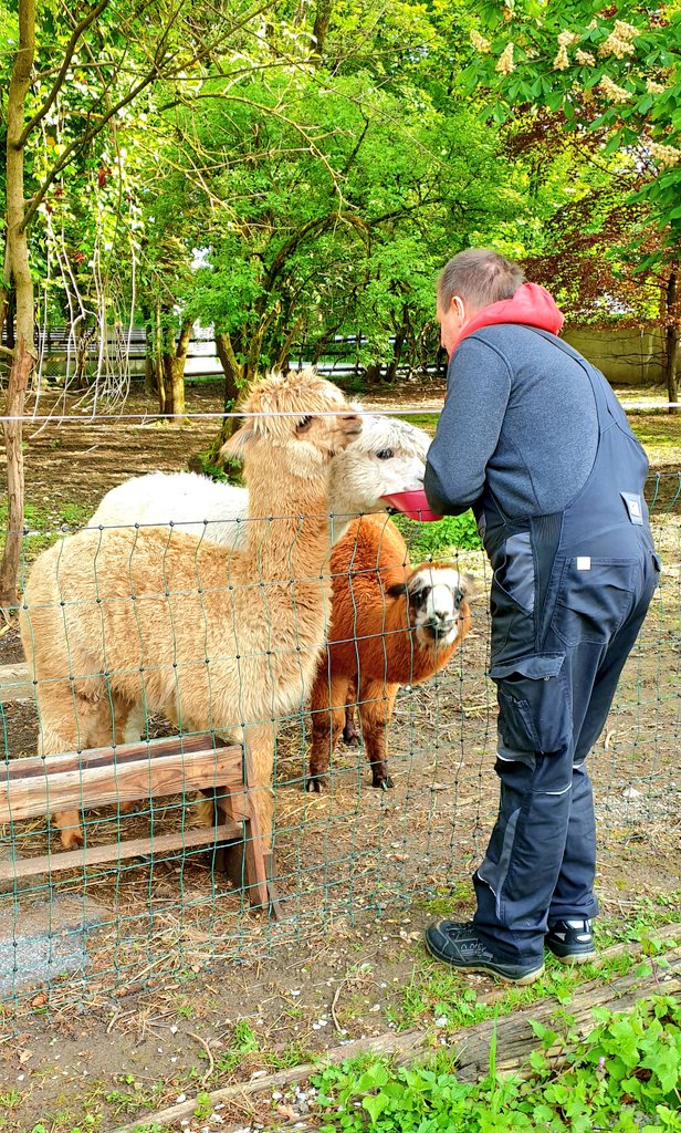 #bestfriendsforever #saturdaymorningroutine🦙