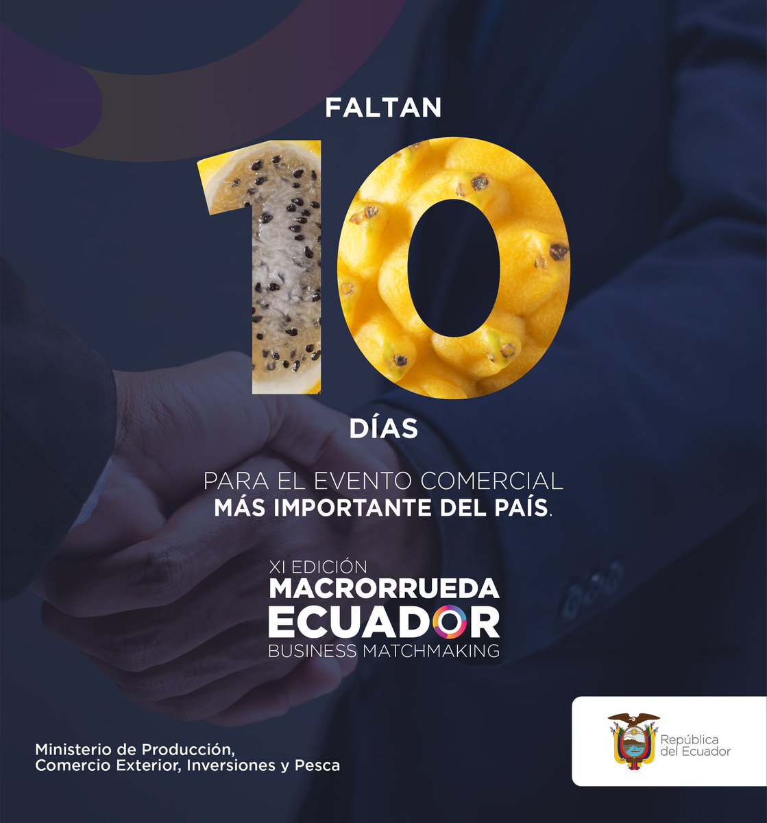 ProEcuador_'s tweet image. 🔵A tan solo 1️⃣0️⃣ días de la 11º edición de la #MacrorruedaEcuador! 

Este evento insignia de @produccionecu a través de @proecuador, reúne en un solo espacio a exportadores ecuatorianos🇪🇨 y compradores de América, Asia y Europa🌎 para hacer negocios durante 2 días de citas B2B.