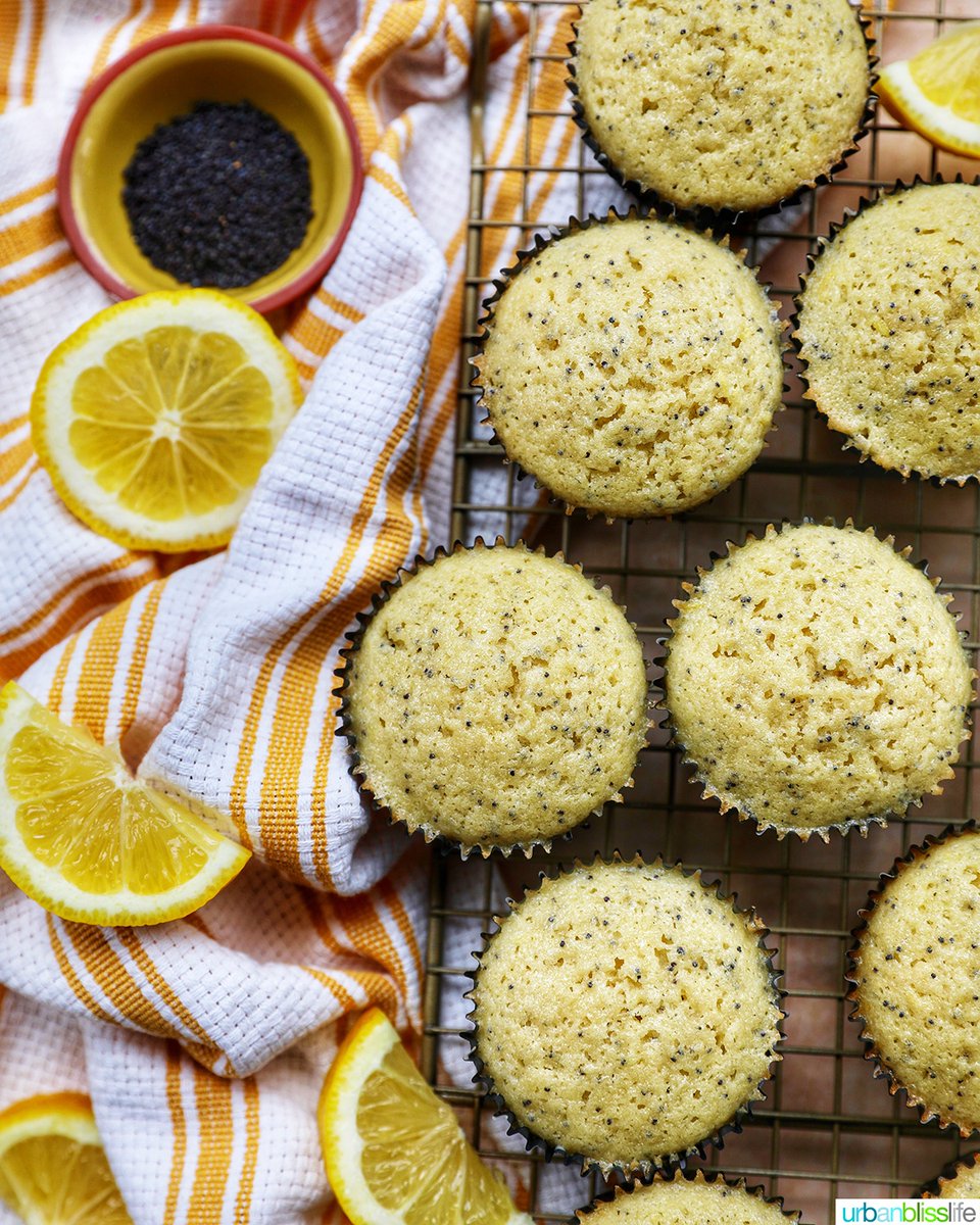 UrbanBlissLife's tweet image. Lemon Poppy Seed Cupcakes are the perfect spring treat to bake this weekend!
 
RECIPE ➡️ urbanblisslife.com/lemon-poppy-se…
#baking #cupcakes #bakingblog