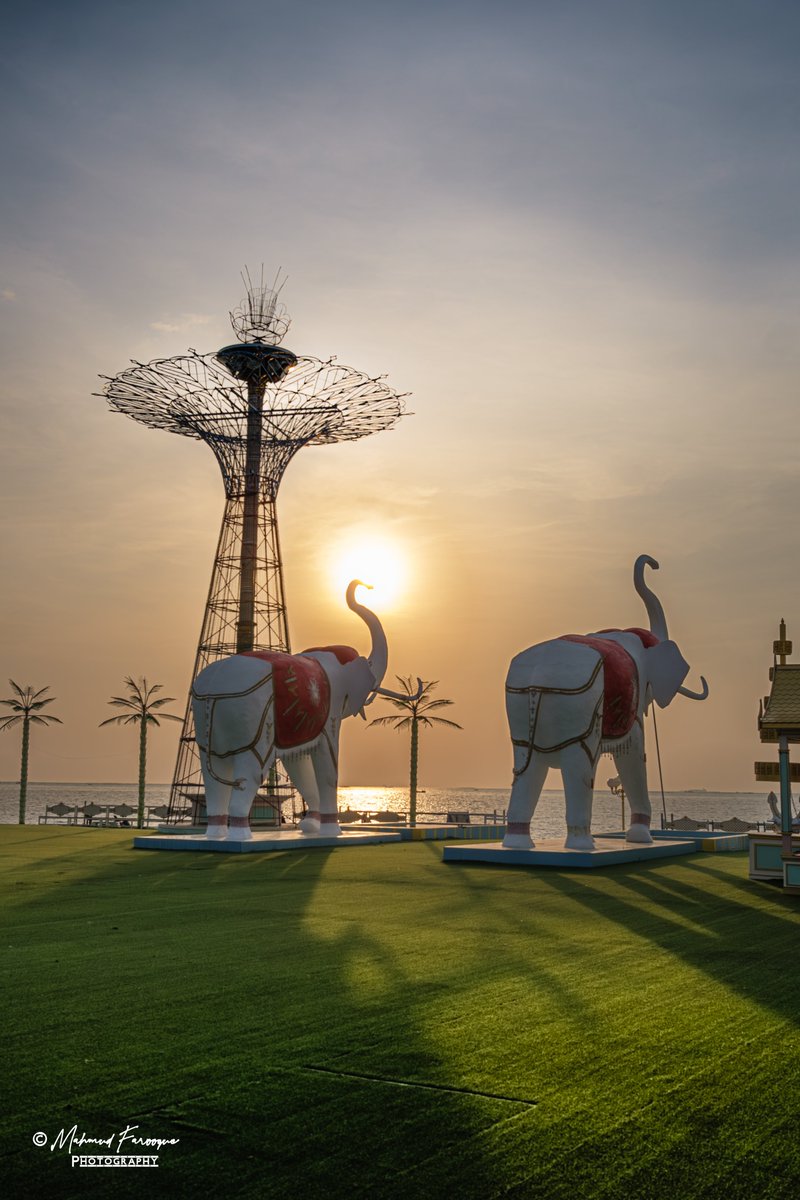 Mahmud Farooque tweet media