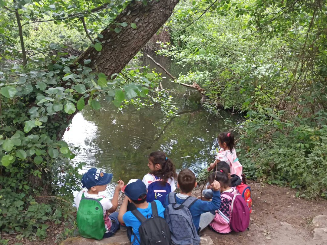 Sábado de ruta en las cascadas del hervidero. Con buen tiempo y compañía las actividades son agradables. Por un ocio saludable y con entornos maravillosos!!

#ociosaludable #medioambiente #infanciayadolescencia #sabadoderuta

@la_coordinadora <a href="/FundlaCaixa/">Fundación ”la Caixa”</a> @MadridFamilias <a href="/MADRID/">Ayuntamiento Madrid</a>