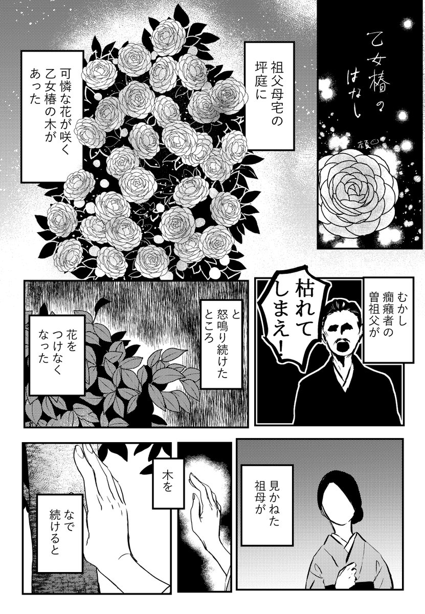 乙女椿の話
