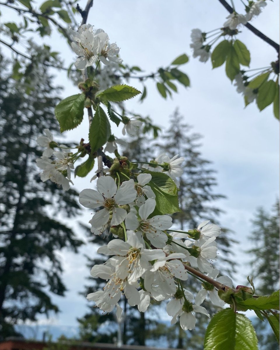 SCIEX Food & Environment tweet media