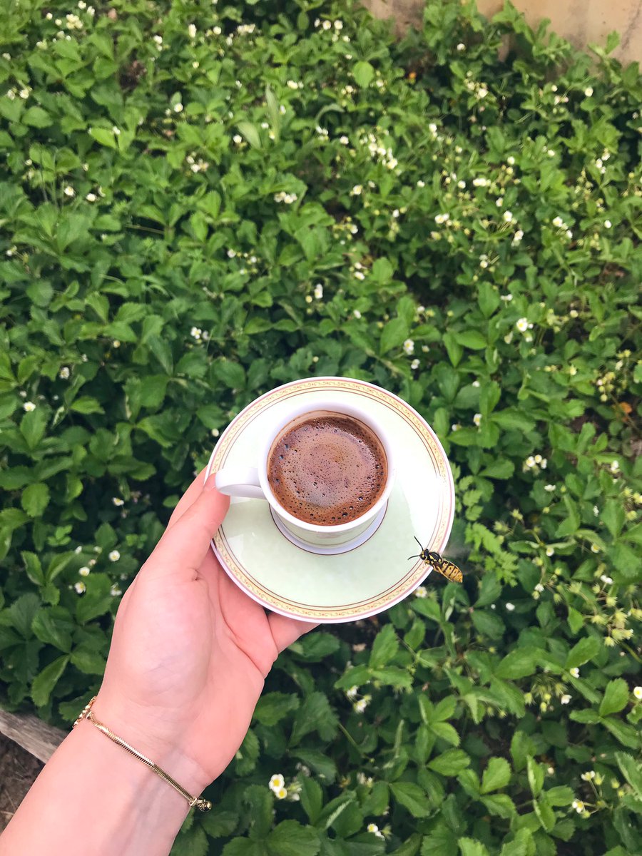 Neriimann_'s tweet photo. 🐝🌿 https://t.co/I2BYNyCDjE