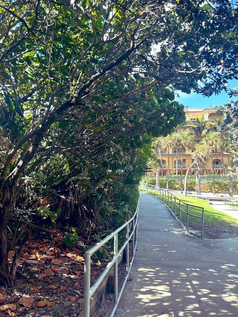 Thought this would be a great place for an AM workout.  As a woman of faith, I strive to find my peace.