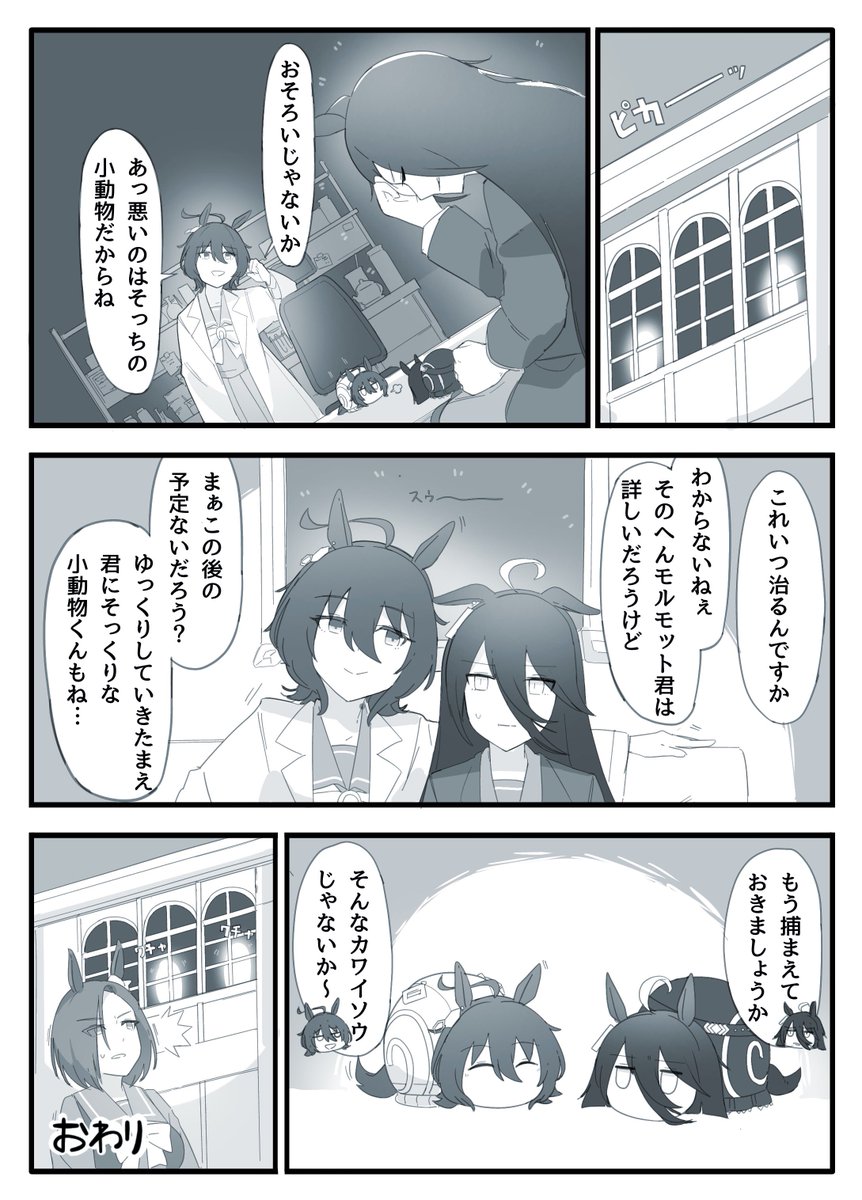 (6/6)