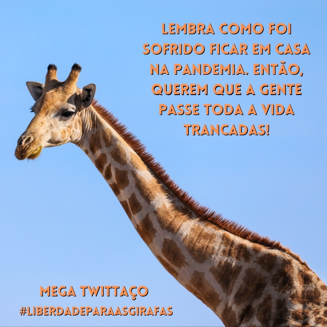 girafaslivresja tweet picture