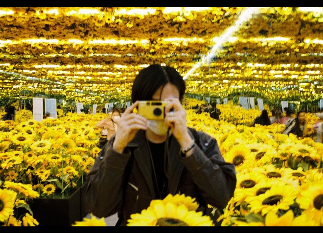 irenearshavin3's tweet photo. 💙🌻
#Build https://t.co/NjMSGlenuN